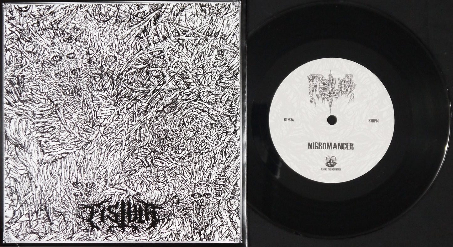 FISTULA / CONTAMINATED - Split 7"