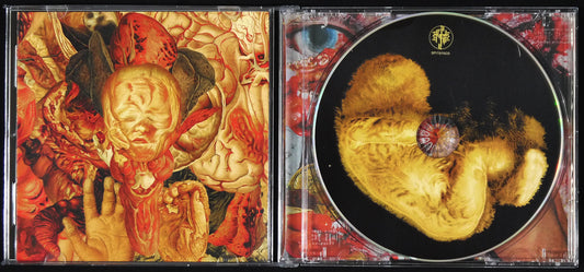FESTER DECAY - Reality Rotten To The Core CD