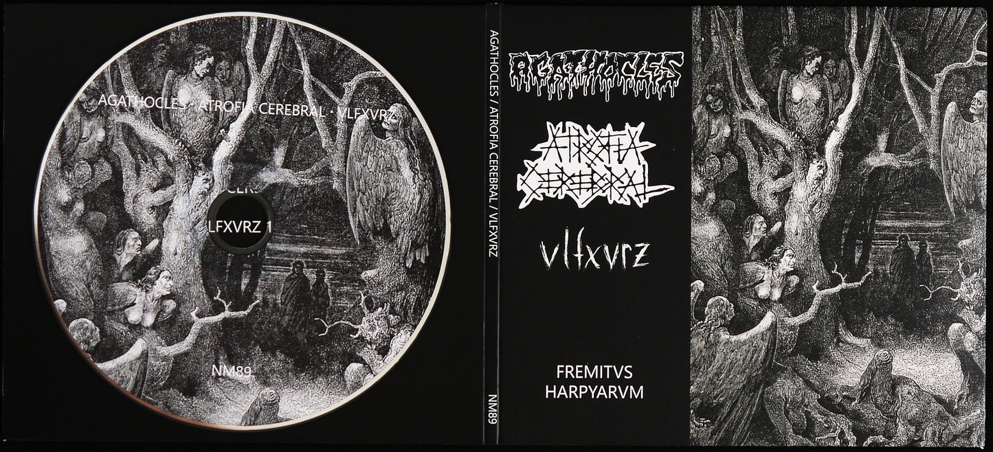 AGATHOCLES / ATROFIA CEREBRAL / VLFXVRZ - 3 Way Split CD