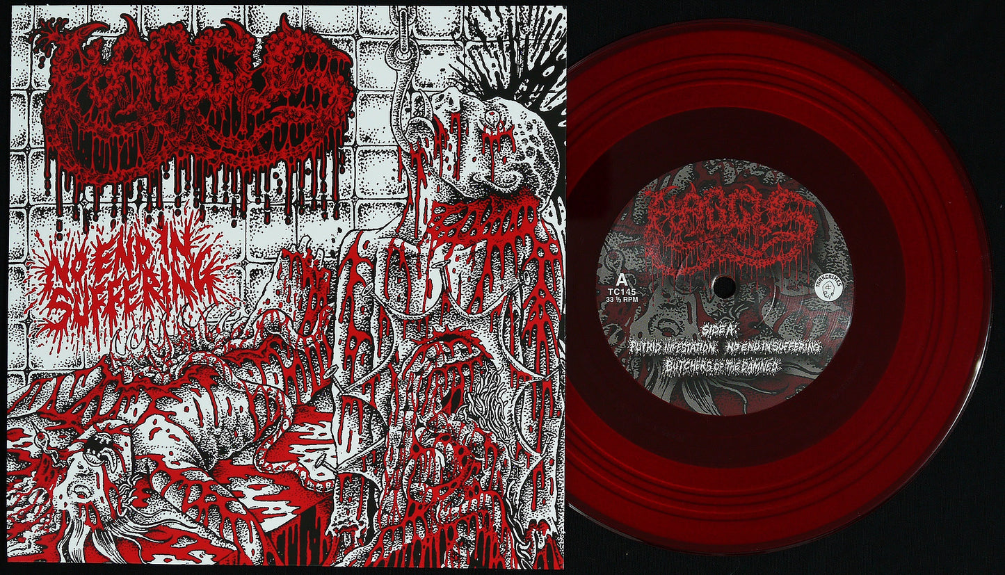 HAGGUS - No End In Suffering 7"