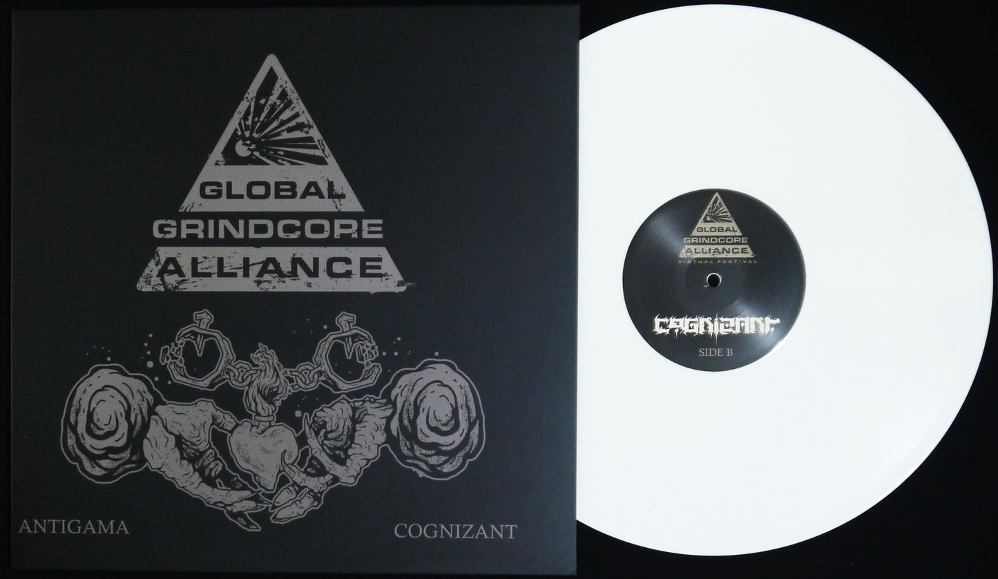 ANTIGAMA / COGNIZANT - Split 12"