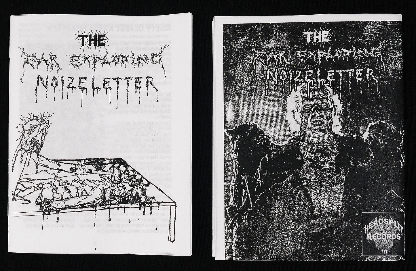 THE EAR EXPLODING NOIZELETTER