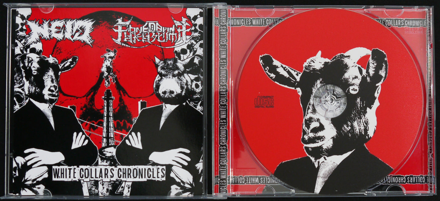NEID / ONE DAY IN FUKUSHIMA - Split CDrPro