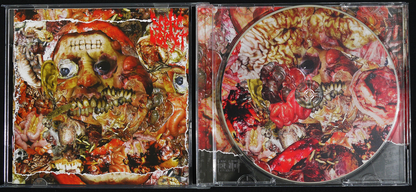 SEPTIC VOMET - Real Life Insanity CD