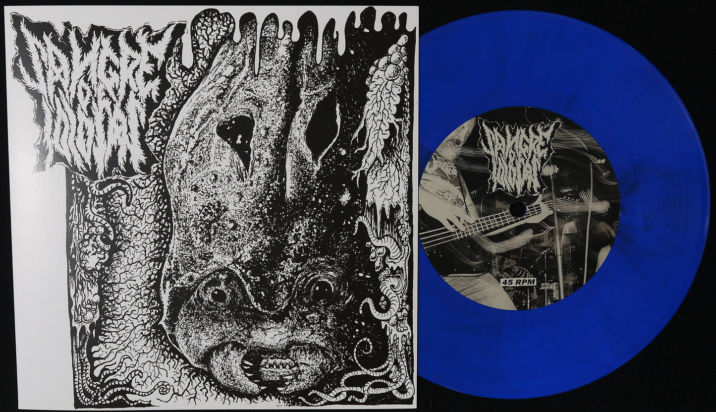 SANGRE DE IDIOTAS / MINDBLOWER - Split 7"