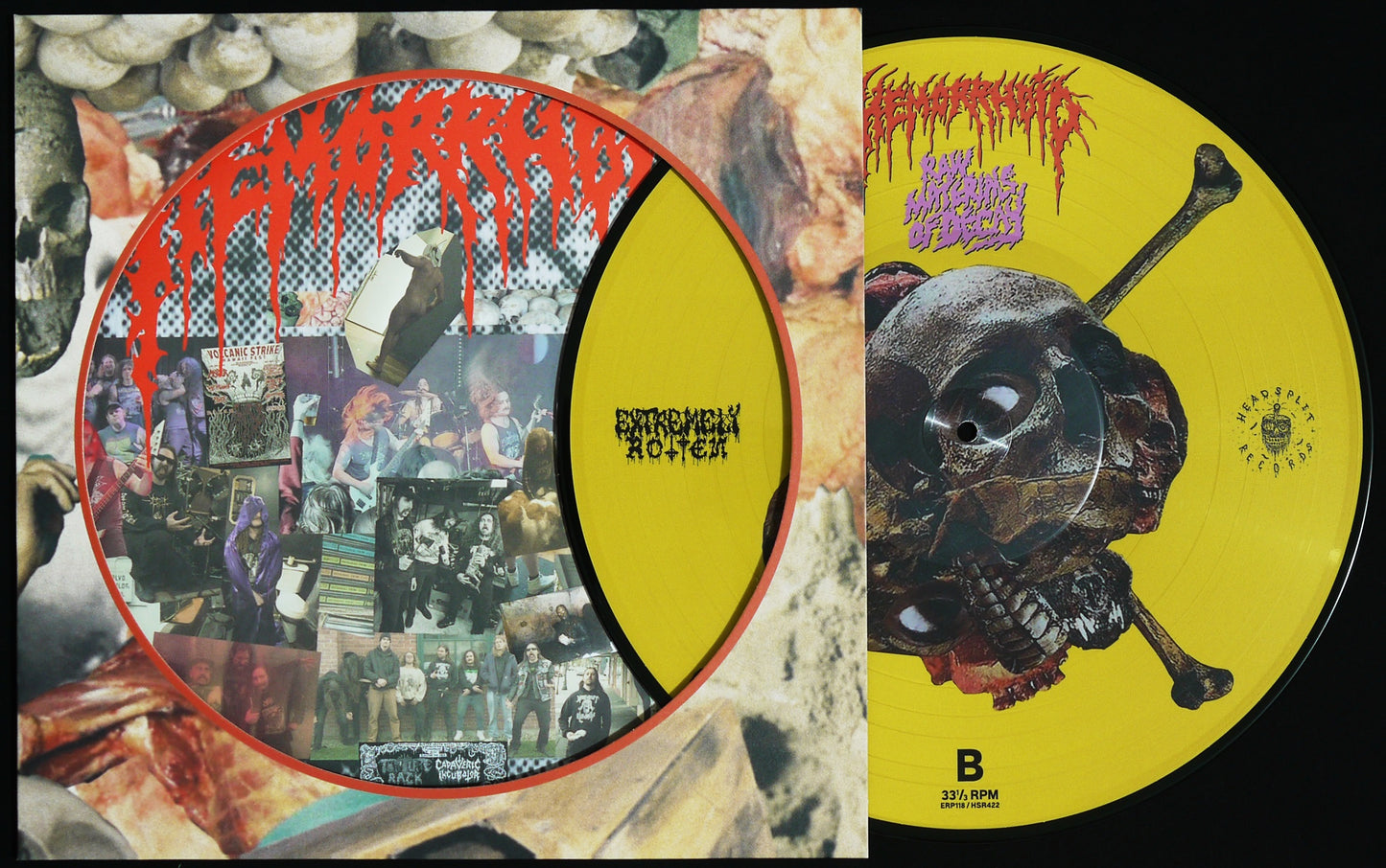 HEMORRHOID – Raw Materials Of Decay 12" Picture