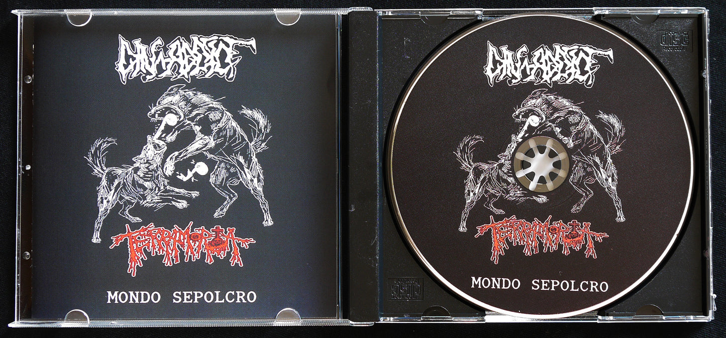 DIN-ADDICT / TERRAMORTA - Split CD