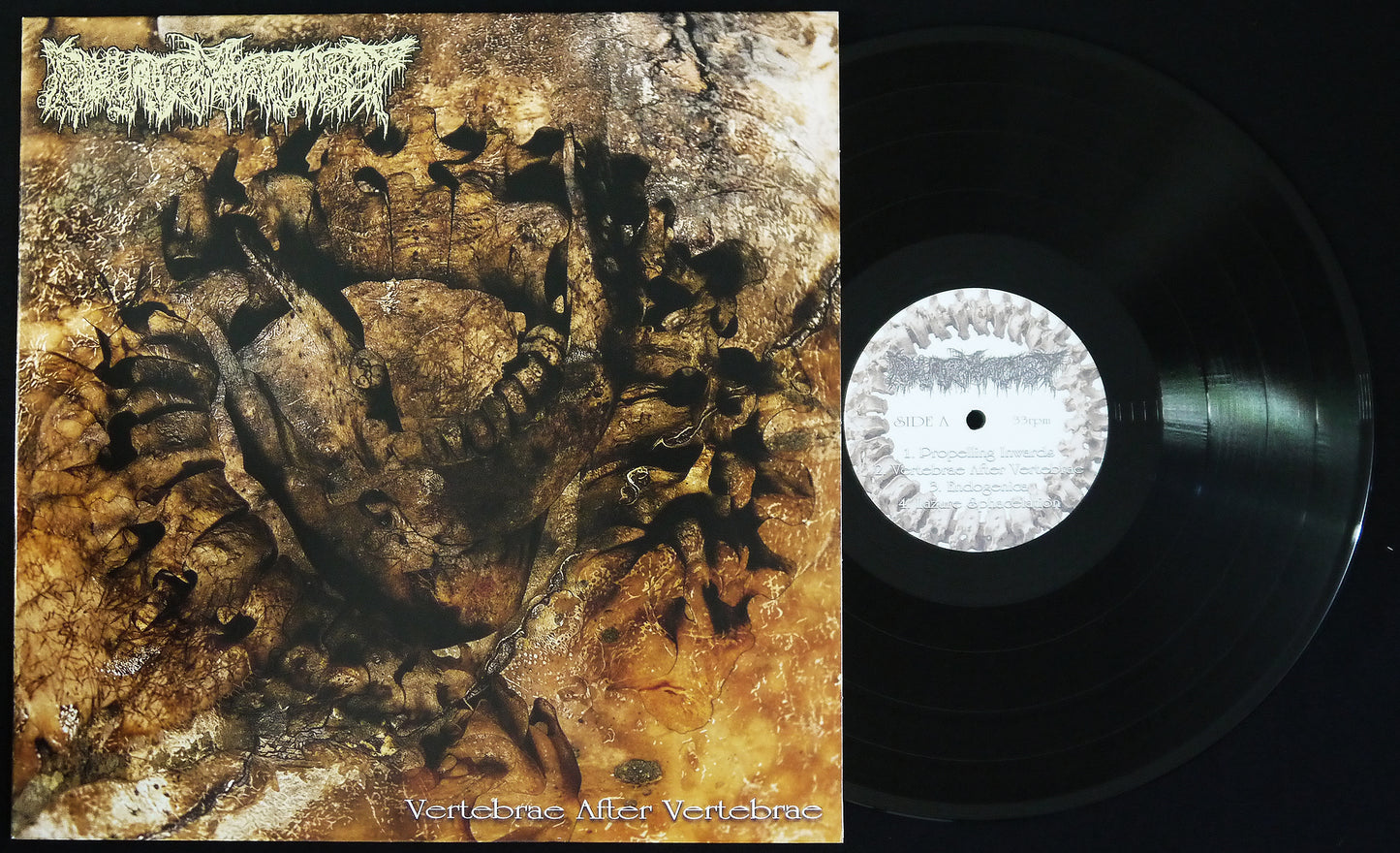 PHARMACIST - Vertebrae After Vertebrae 12"