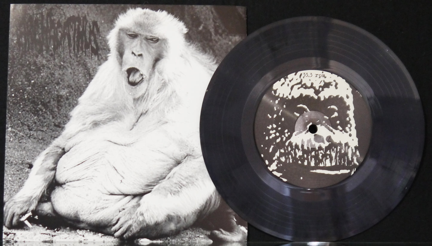 ARCHAGATHUS / SELF DECONSTRUCTION - Split 7"
