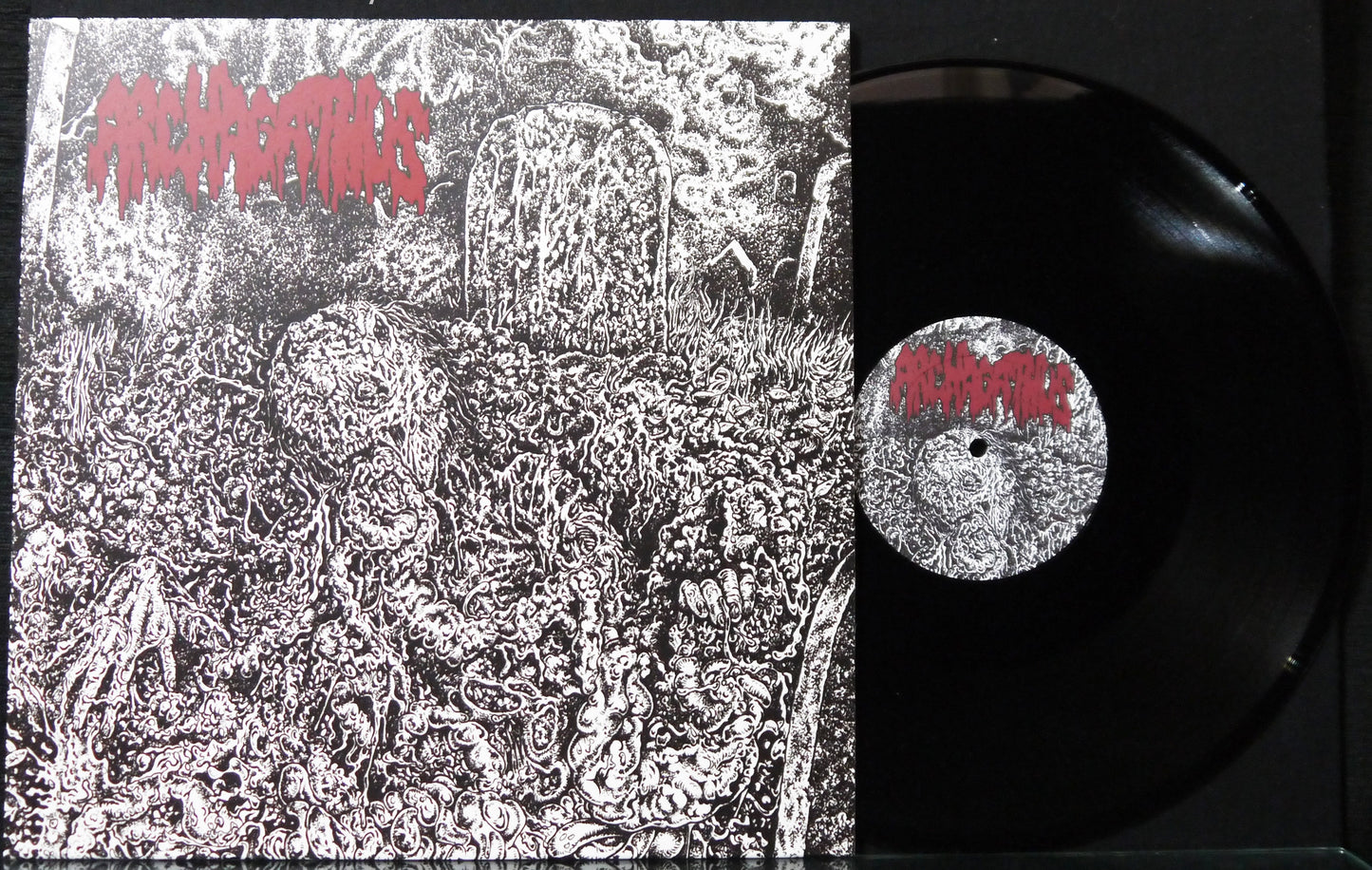 ARCHAGATHUS / MEAT SPREADER - Split 12"