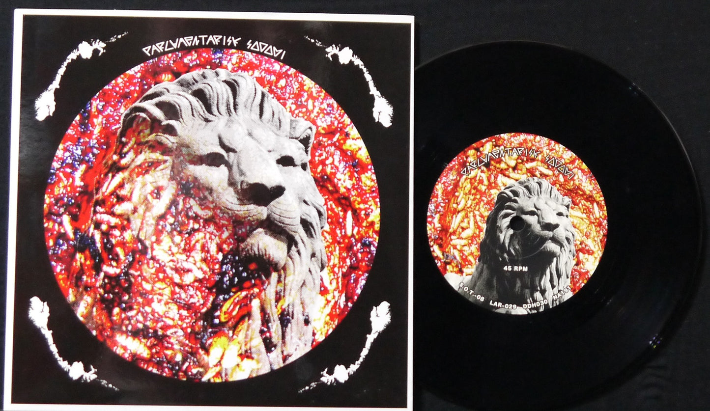 PARLAMENTARISK SODOMI / GYNEKOLOGENE - Split 7"