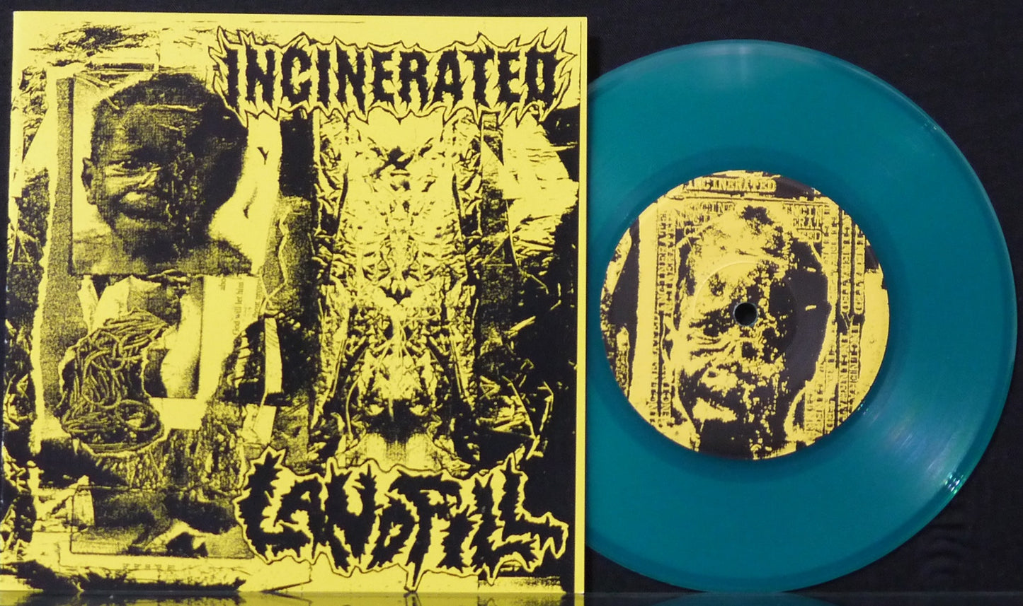 INCINERATED / LANDFILL - Split 7"