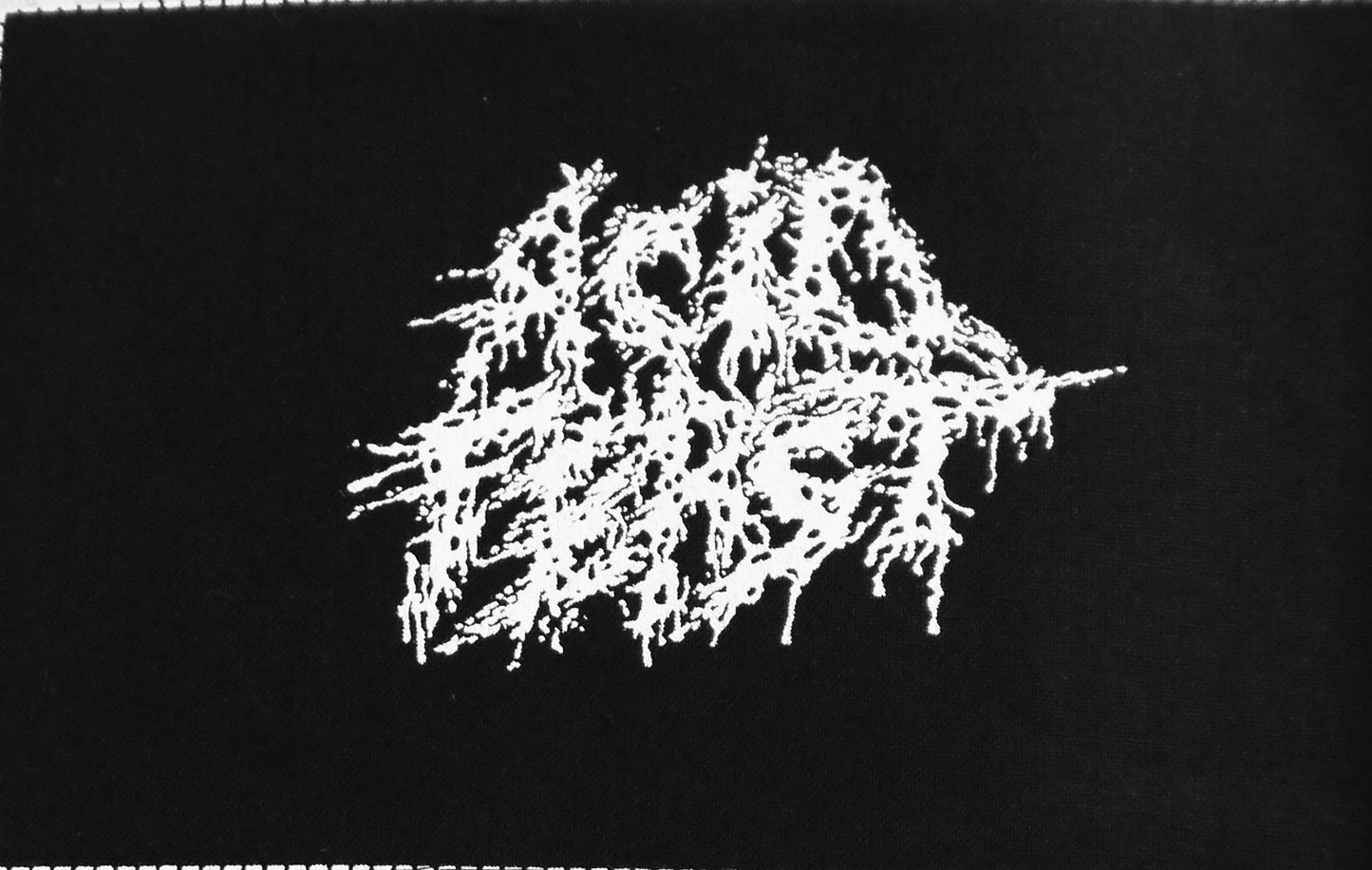 ACID FEAST - Logo Patch