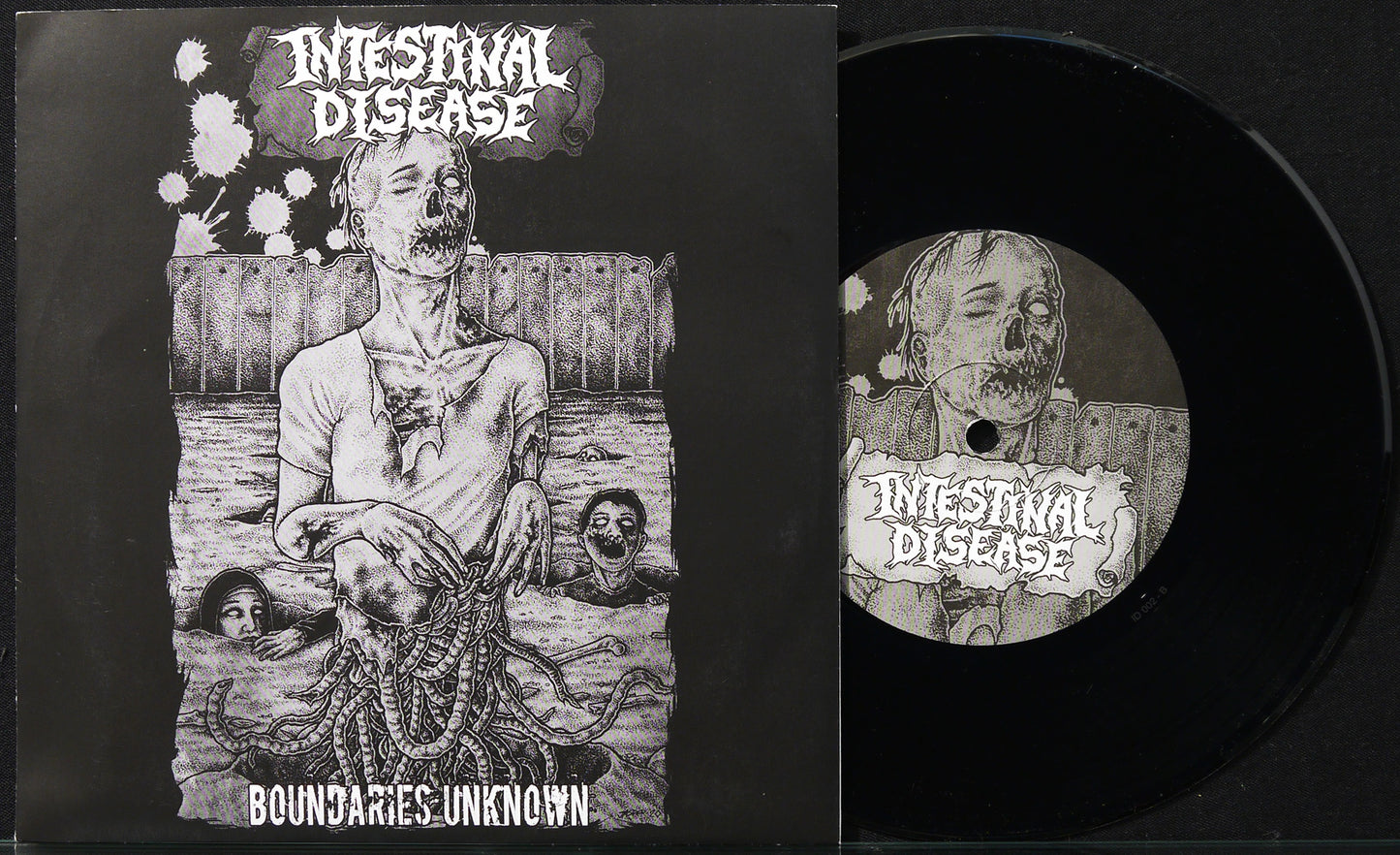 INTESTINAL DISEASE / AGATHOCLES - Split 7"
