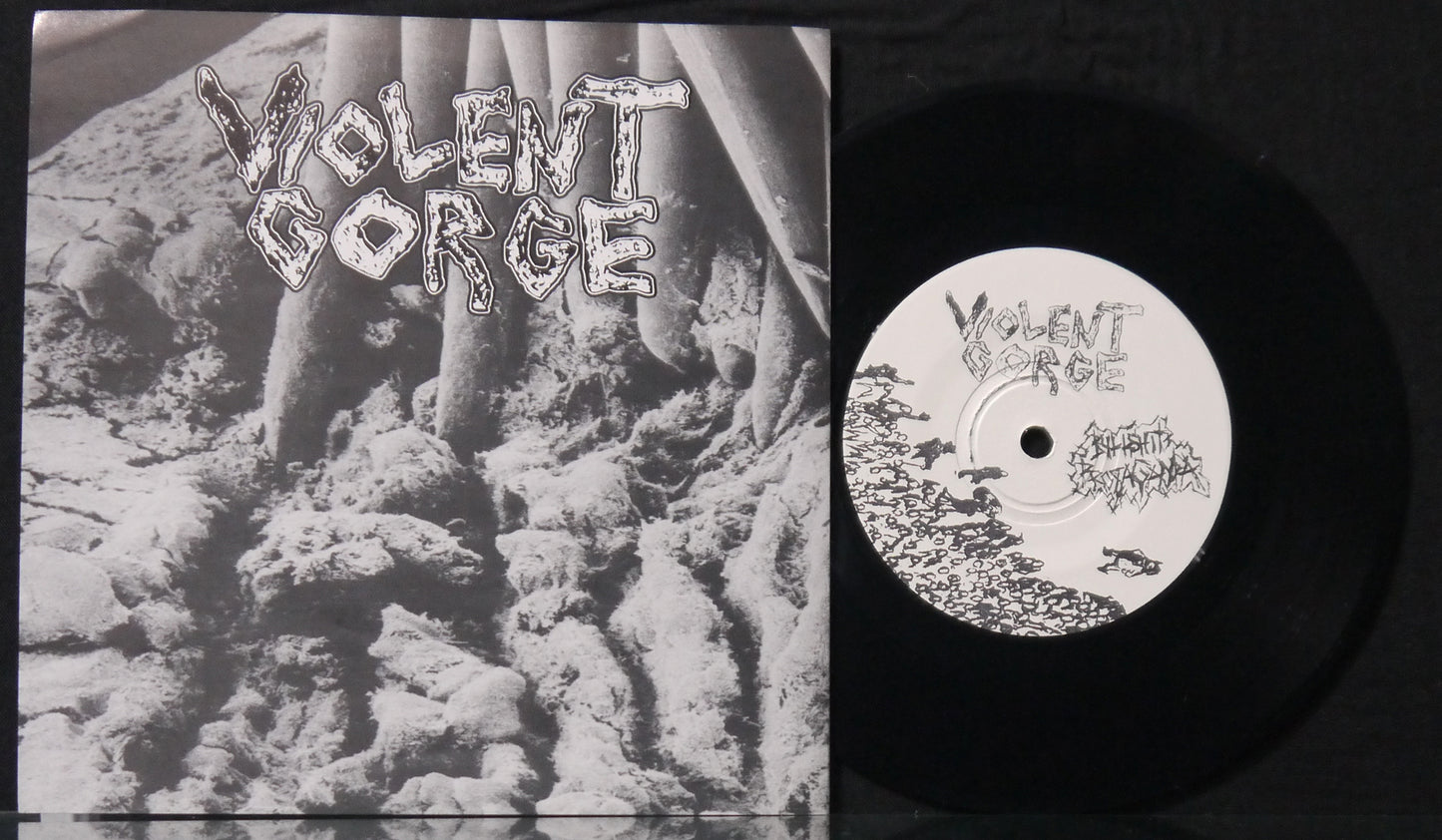 VIOLENT GORGE / DISPEPSIAA - Split 7"
