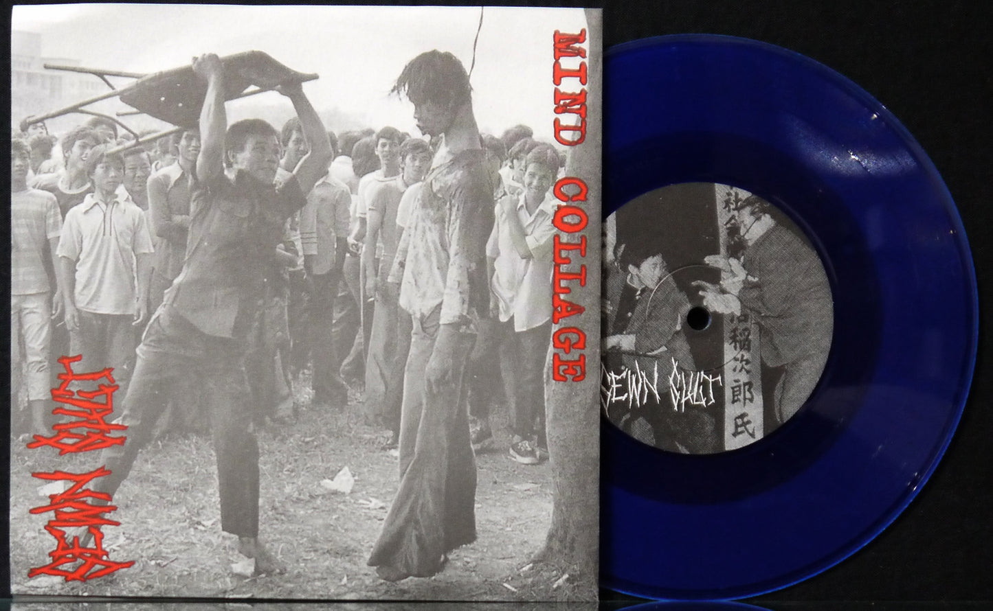 SEWN SHUT / MIND COLLAGE - Split 7"