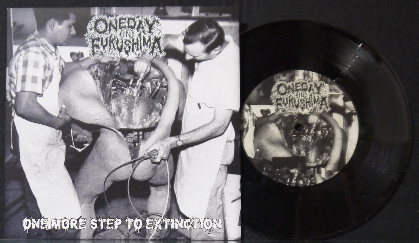 ONE DAY IN FUKUSHIMA / GENOCIDAL TERROR - Split 7"