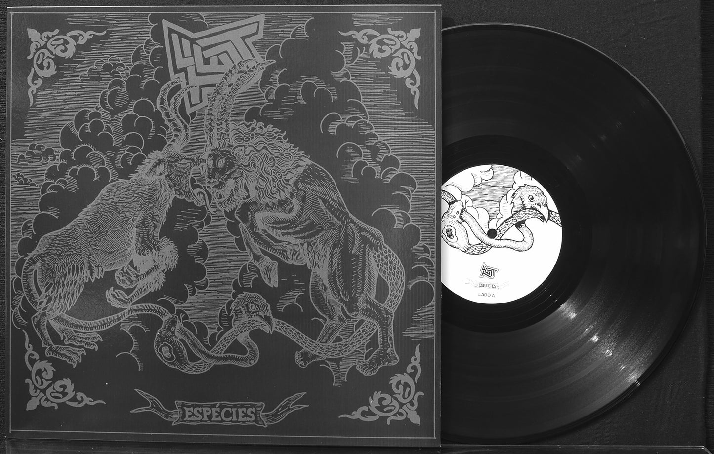 TEST - Especies 12"