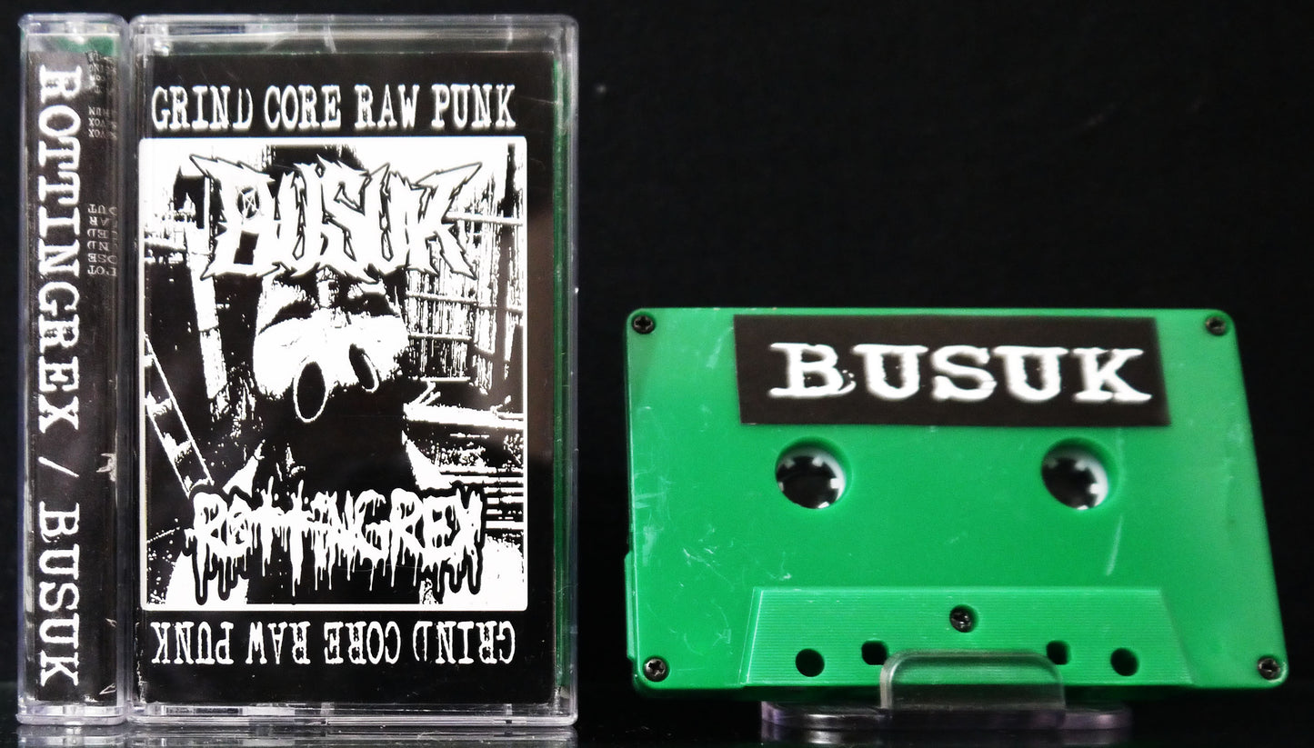 ROTTING REX / BUSUK - Split Tape