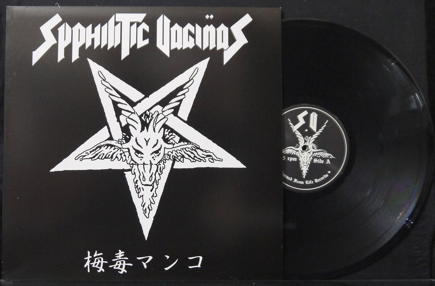 SYPHILITIC VAGINAS - 梅毒マンコ 12"