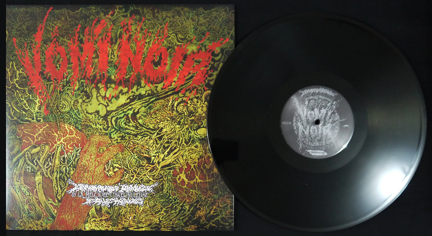 VOMI NOIR - L'Innommable Remugle & la Mélopée Cavernuleuse des Râles Agoniques 12"