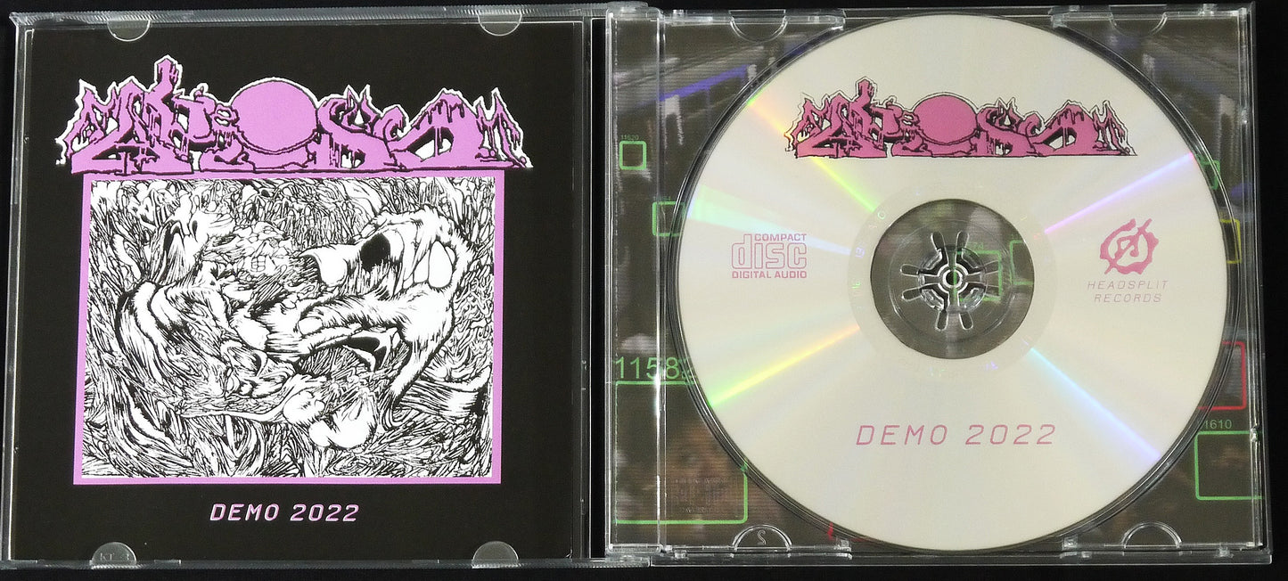 FAKE DUST - Demo 2022 CD