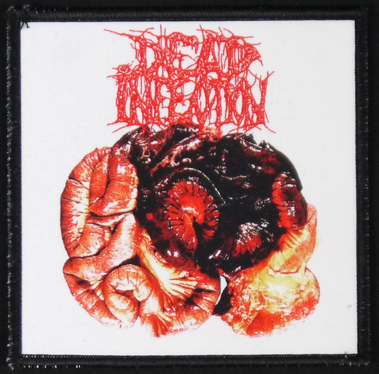 DEAD INFECTION - Surgical Disembowelment Patch