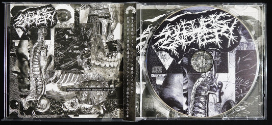 SULFURIC CAUTERY - Subsequent Torture Sessions 2019-2021 CD