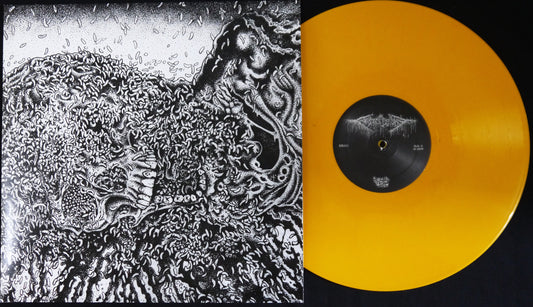 FESTER DECAY / PUTREFACTION SETS IN - Split 12"