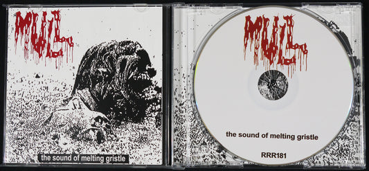 MULL - The Sound Of Melting CD