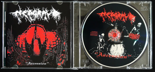 NEDGRAVD - Ascension CD
