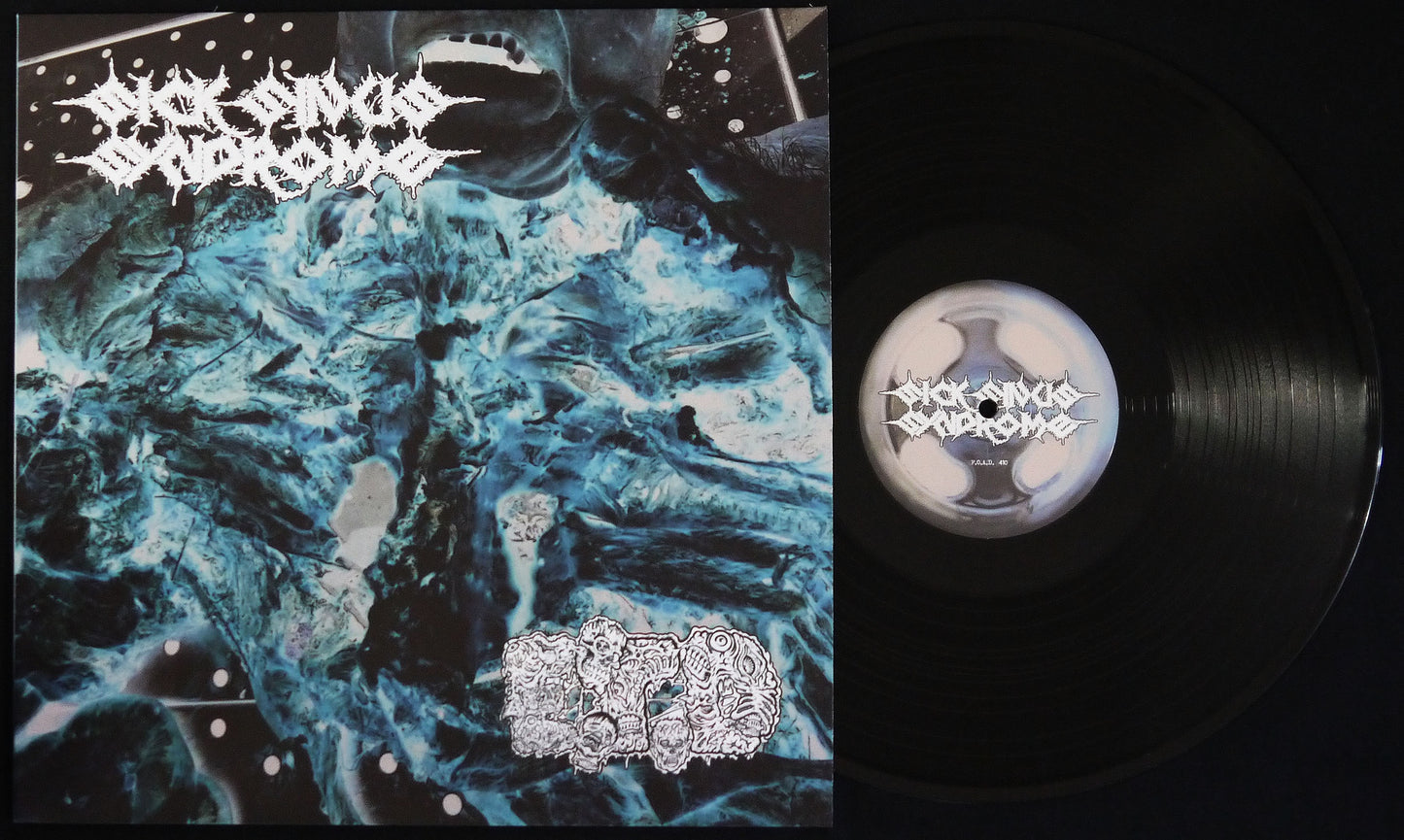 SICK SINUS SYNDROME / EAT THE DECAY - Split 12"