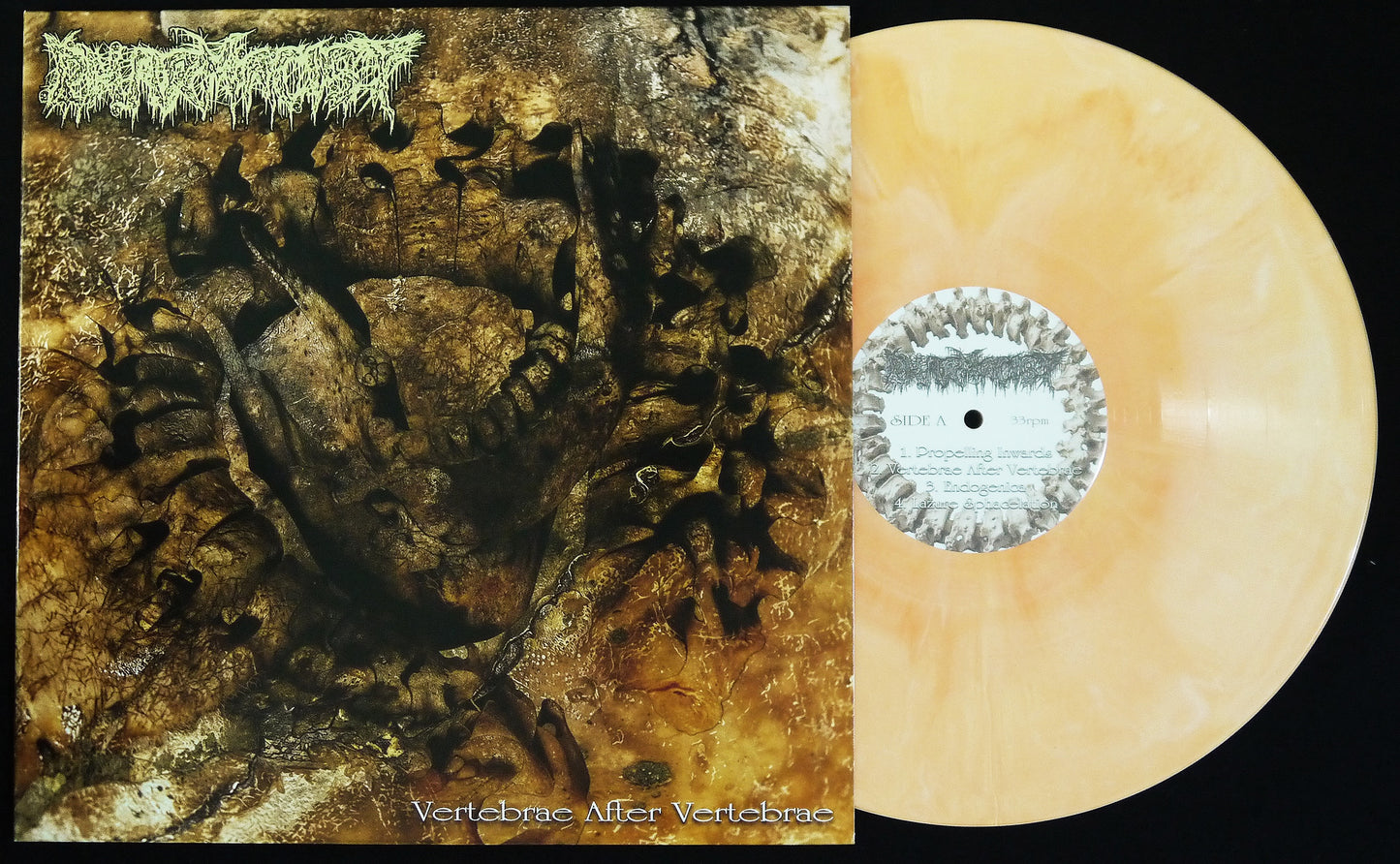 PHARMACIST - Vertebrae After Vertebrae 12"
