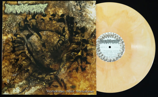 PHARMACIST - Vertebrae After Vertebrae 12"