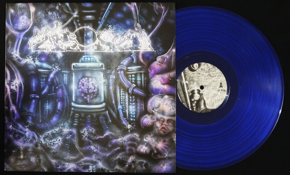 FAKE DUST - Decrepitizing Din Of The Cerebral Psyopticon 12"
