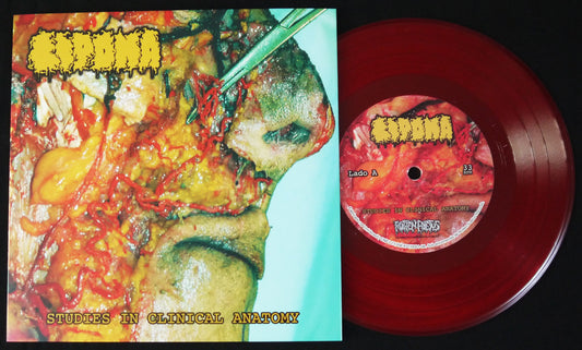 LIPOMA / VOMITO - Split 7"