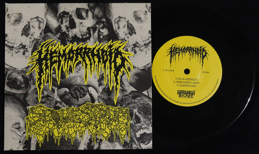 HEMORRHOID / SEQUESTRUM - Split 7"