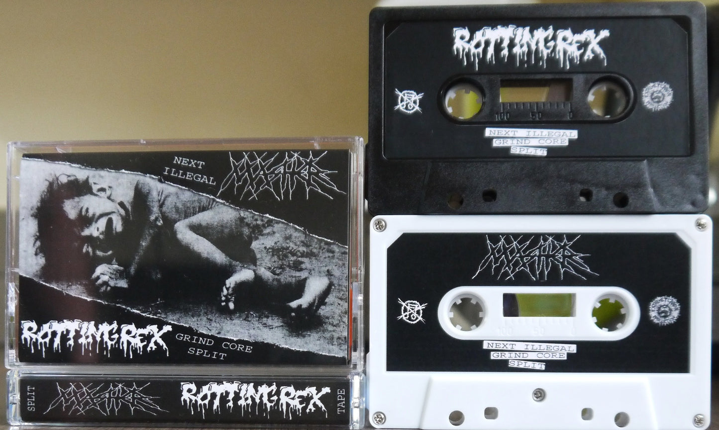 MASHER / ROTTINGREX - Split Tape