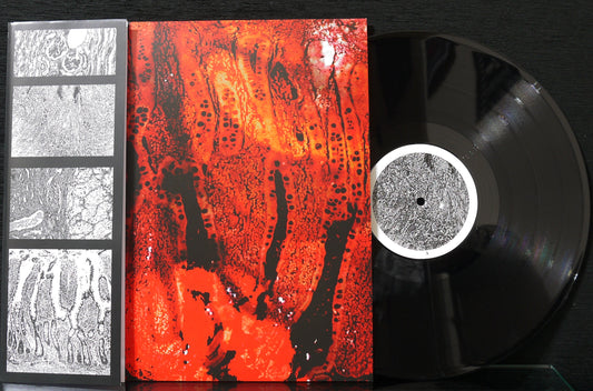 MEDICINE NOOSE / SPEWN - Split 12"