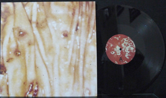 DISGUSTED GEIST / MEDICINE NOOSE - Split 12"