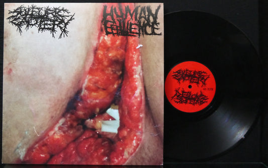 SULFURIC CAUTERY / HUMAN EFFLUENCE - Split 12"