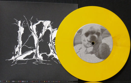 LxPxPx / INVIDIOSUS - Split 7"