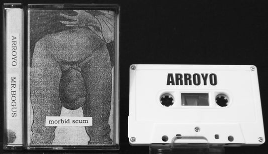 ARROYO / MR.BOGUS - Split Tape