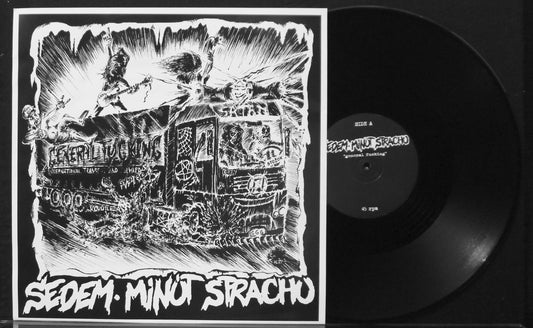 SEDEM MINUT STRACHU - General Fucking 12"