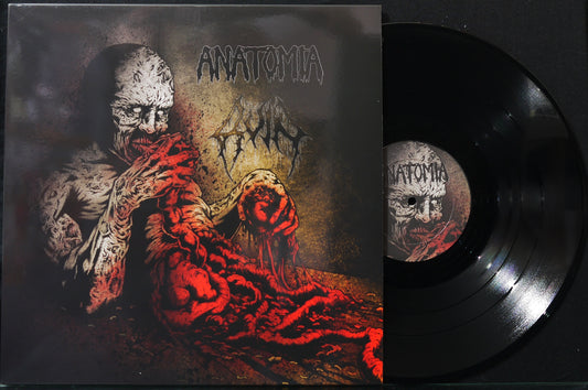 ANATOMIA / RUIN - Split 12"