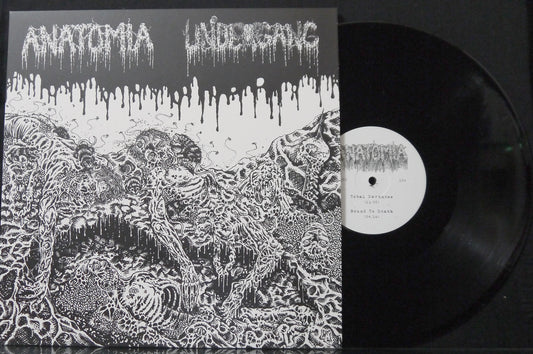 ANATOMIA / UNDERGANG - Split 12"